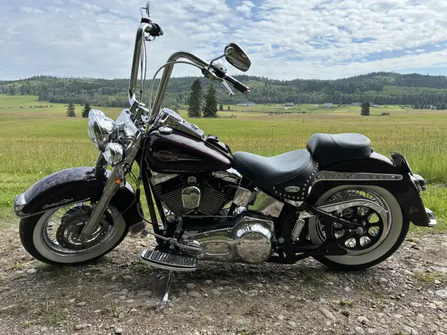 2006 Harley Davidson in Street, Cruisers & Choppers in Calgary - Image 5