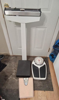 Weight Scales Bundle