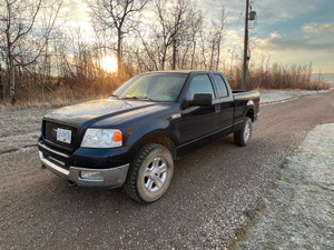 2004 Ford F 150