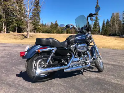 Black lowrider dual seat, OE foot and hand controls, HD windscreen, HD tool bag, Vince & Hines custo...