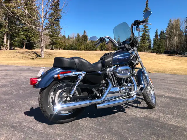 2009 HD Sportster, XL1200c in Street, Cruisers & Choppers in Edmonton - Image 2