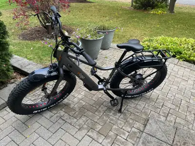 Ebgo electric bicycle, View more