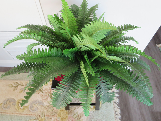 FOR SALE: IMITATION FERN PLUS STURDY STAND in Home Décor & Accents in London - Image 3