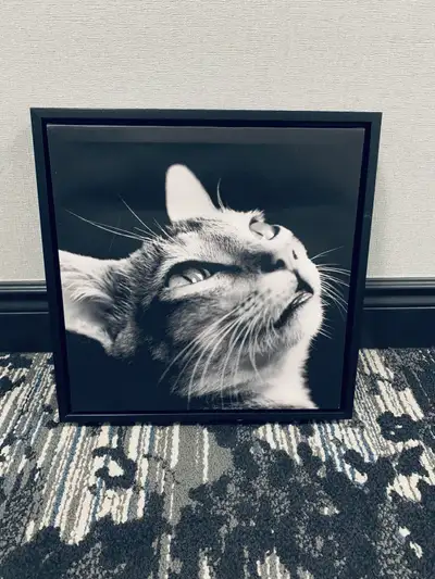 Hometrends Cat Wall Art, View more