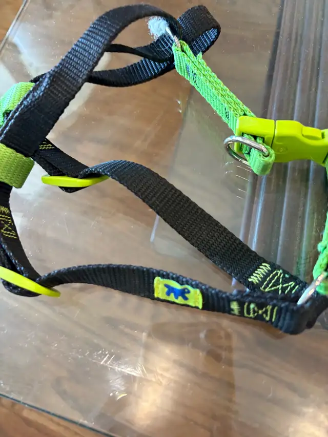 Wolfgang Puck Dog Harness in Accessories in City of Toronto - Image 4