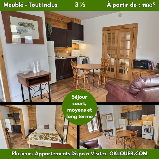 APPARTEMENT TOUT INCLUS-MEUBLÉ 1 CHAMBRE 3 1/2 A SAINT-ROCH