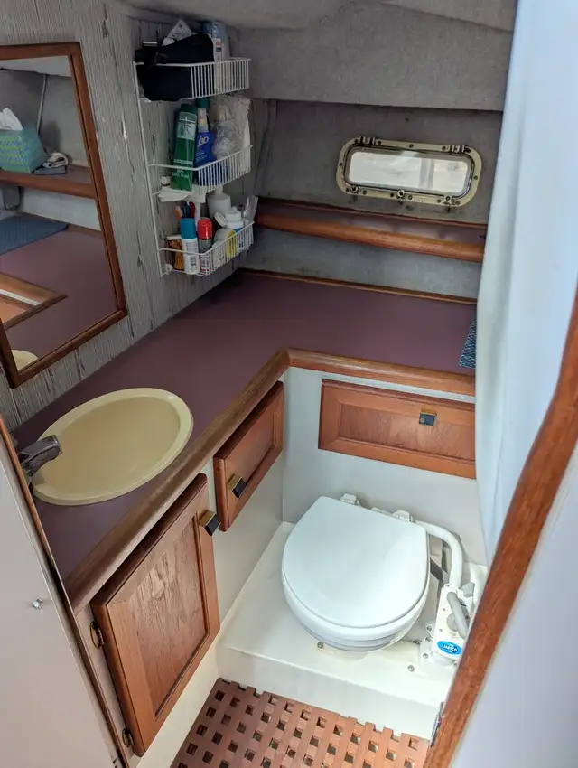 Bayliner 2855 - 375 hp VP Duo Prop in Powerboats & Motorboats in Comox / Courtenay / Cumberland - Image 10