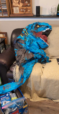 Dinosaur costume 
