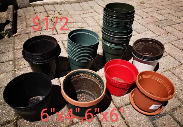 Plants Pots64026027751043120