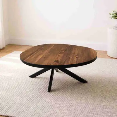 Egg  Shaped Coffee Table, View more