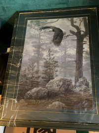 Picture Frame Eagle