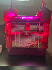 Hamster cage+ gerbil