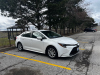 Driving instructor in Toronto/Scarborough/East York