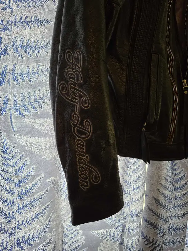 Rare Womans Harley Davidson Leather Jacket in Women's - Tops & Outerwear in Kitchener / Waterloo - Image 3