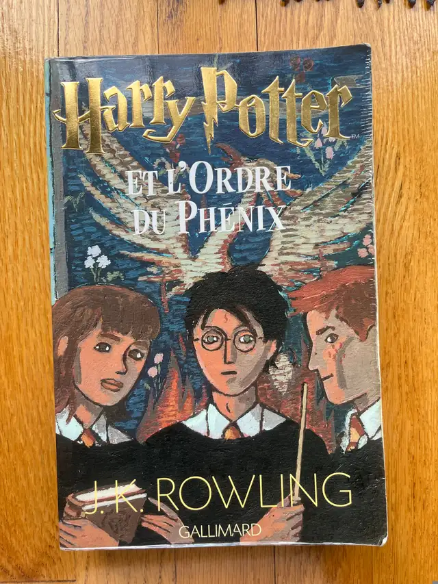 LIVRE * HARRY POTTER * grand format (12$chaque)) in Children & Young Adult in Longueuil / South Shore - Image 4
