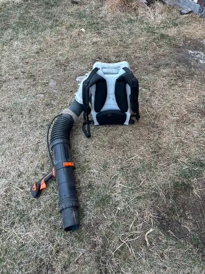 Stihl BR 700 for sale, View more