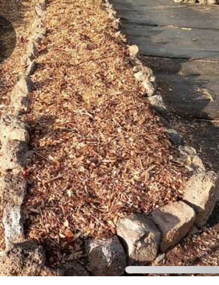 Gardening and landscaping help/odd jobs in General Labour in Vernon - Image 2