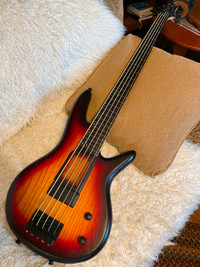 Ibanez GWB-205TQF Gary Willis Signature Fretless 5 string bass