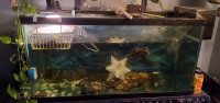 90 Galons aquarium with TURTLE-pump-accessories for sale