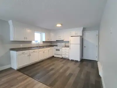 Updated 2 bedroom apartment. Good sized bedrooms, and large living area. Located on quiet street one...