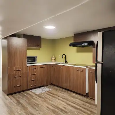 Beautiful newly renovated roomy, airy and well-lit 2 Bed Rooms Entire Basement unit in Leaside to Re...