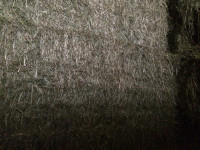 Wheat straw for sale 3x3x7ft