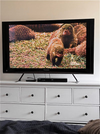 50” Panasonic plasma flatscreen tv 
