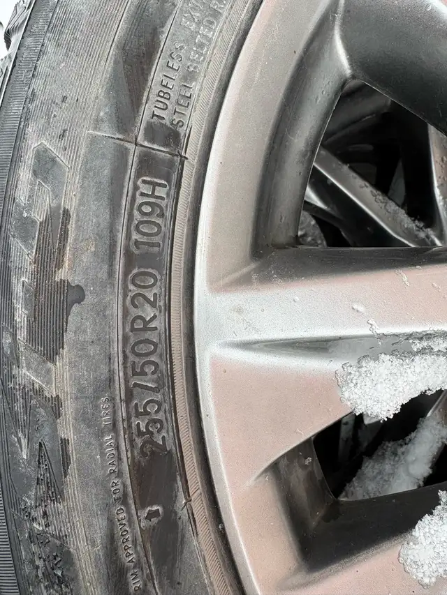 Winter Rims and Tires in Tires & Rims in Kingston - Image 4