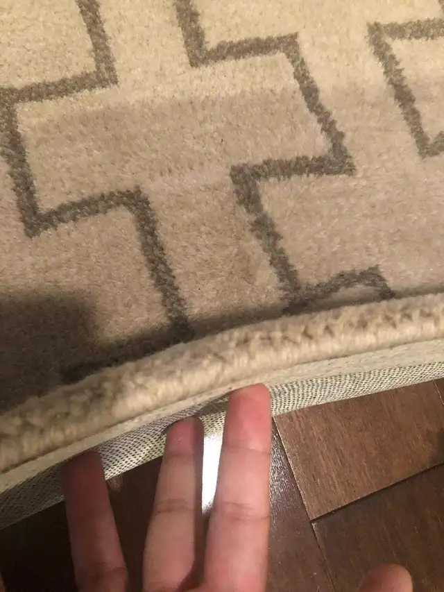 Wool Rug (5'x8') in Rugs, Carpets & Runners in Markham / York Region - Image 3