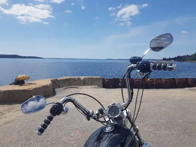 2004 harley davidson sportster in Street, Cruisers & Choppers in Muskoka - Image 3