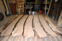 Live edge maple slabs