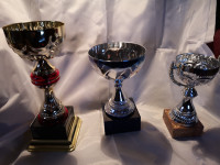 Very cool trophies!