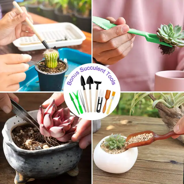 NEW Garden Tools Set 83 Piece, Succulent Included, Heavy Duty in Outdoor Tools & Storage in London - Image 4
