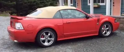 This Mustang GT has the computer tuned for performance, cold air induction 70 mm throttle body, 2 in...