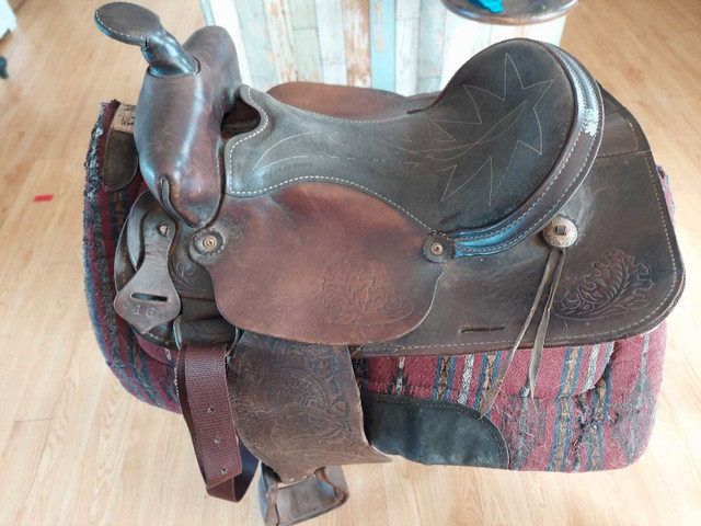 Western saddle 16" seat in Equestrian & Livestock Accessories in Truro - Image 4