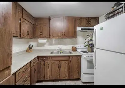 1 bedroom spacious walkout basement - oshawa