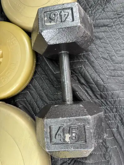 45lb single dumbbell, View more