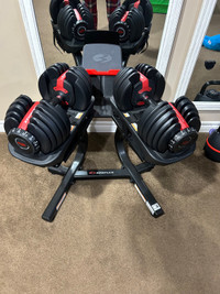 Bowflex dumbbells on stand