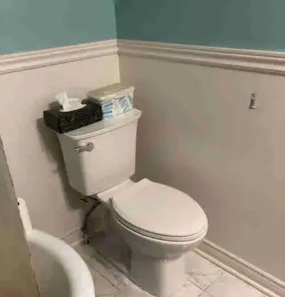 Toilet-used-clean, View more