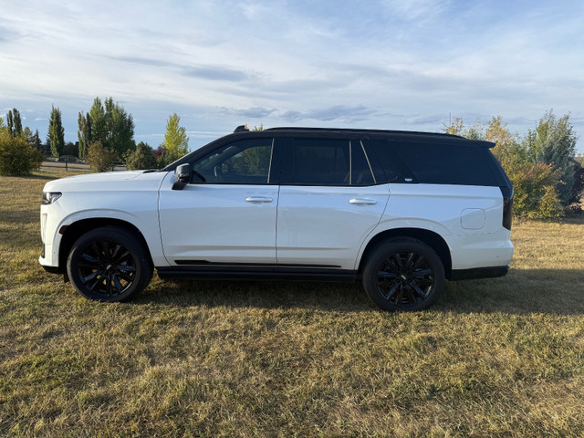 2023 Cadillac Escalade 4WD Sport - PRIVATE in Cars & Trucks in Calgary - Image 3
