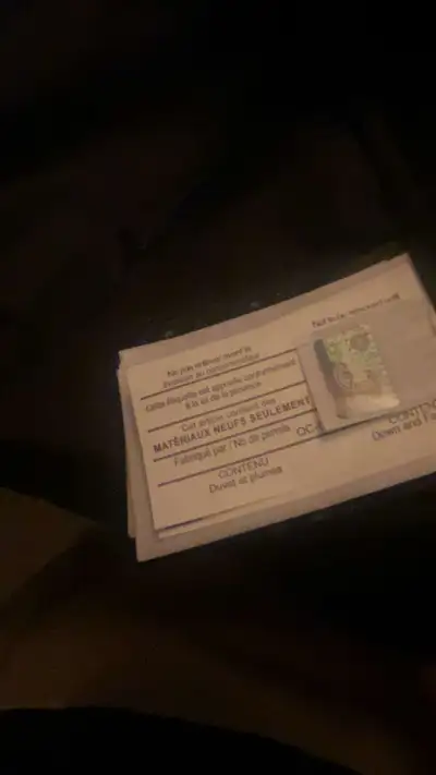 Canada goose , View more