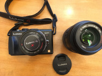 Lumix GX1 with 2 lenses