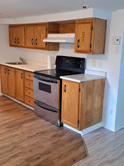 MASCOUCHE SOUS-SOL 3 1/2 à louer 1er Août