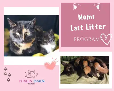 This program is designed to help ensure the well-being of both mother cats and their kittens by prov...