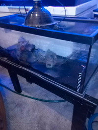 Turtle tank fully equipped with stand 