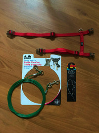 Laisse et harnais pour chat / Cat harness and cable tie-out