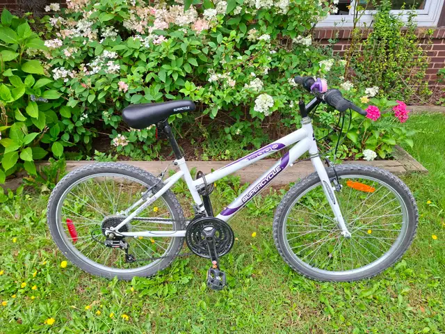 Bicycle 21" wheels, great condition