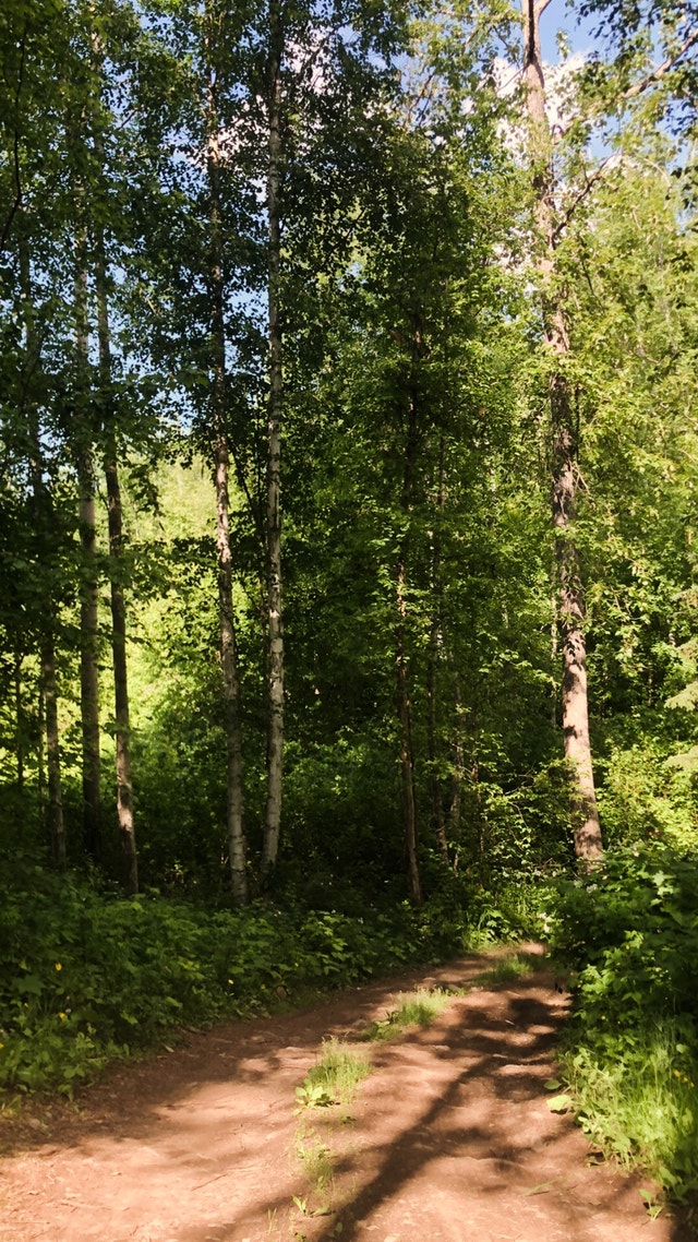 Northern BC land for sale Land for Sale Smithers Kijiji