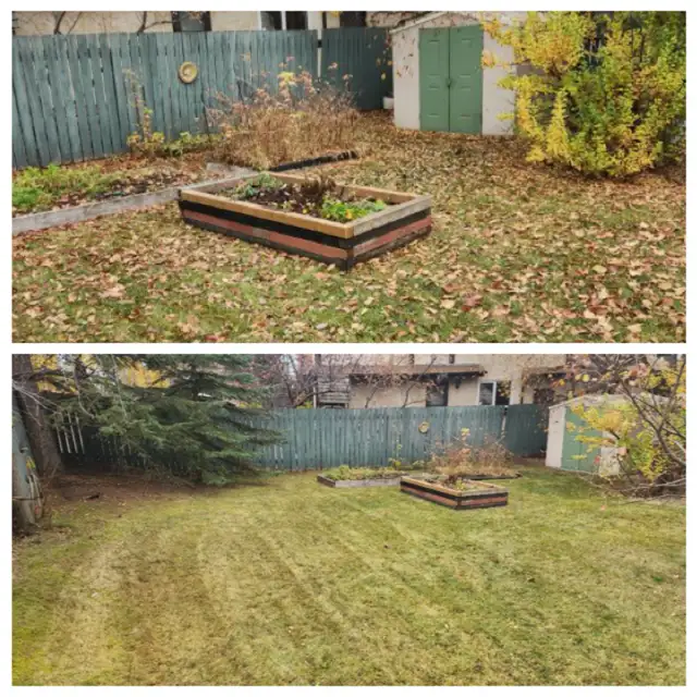FALL CLEANUP • OVERGROWN YARD586457737531248646