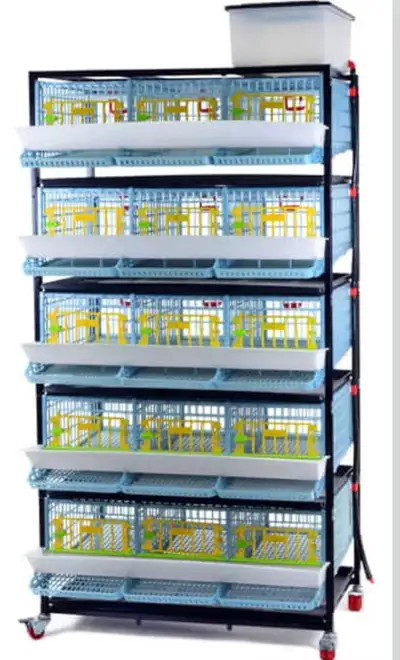 hatching time quail cages, View more